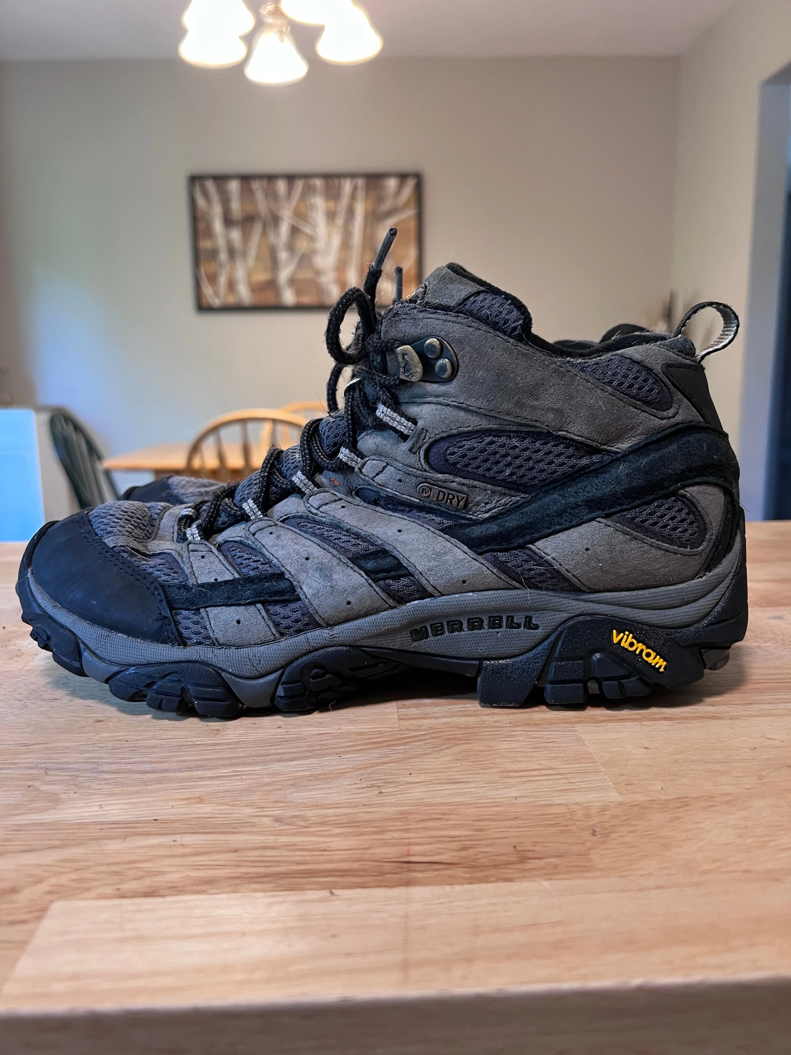 Merrell Moab Mid Hiking Boots Men's 9