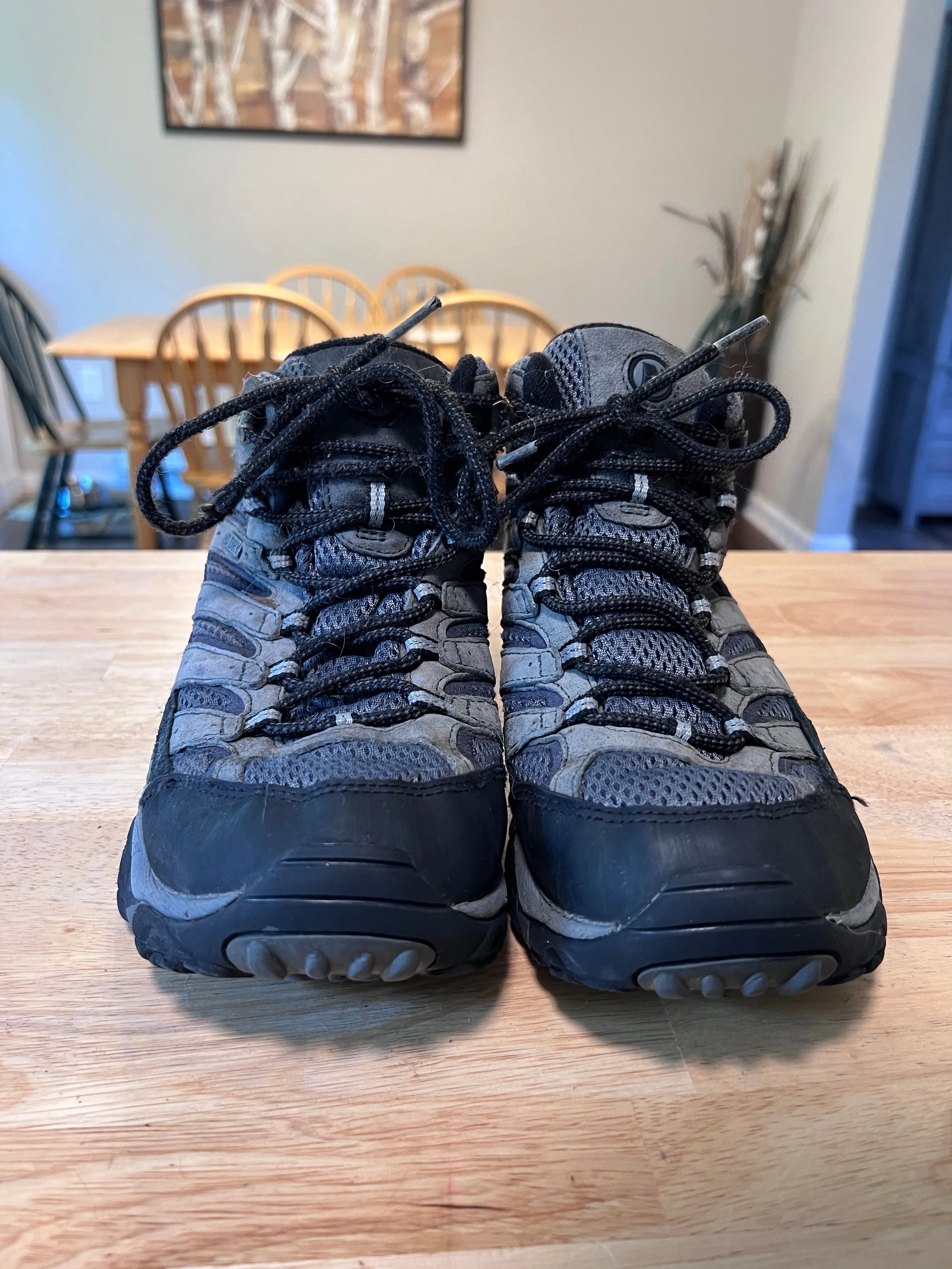 Merrell Moab Mid Hiking Boots Men's 9